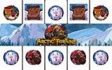 Arctic Fortune