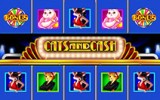 Cats and Cash
